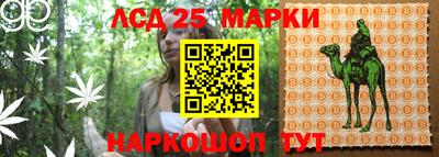 стаф Гагарин
